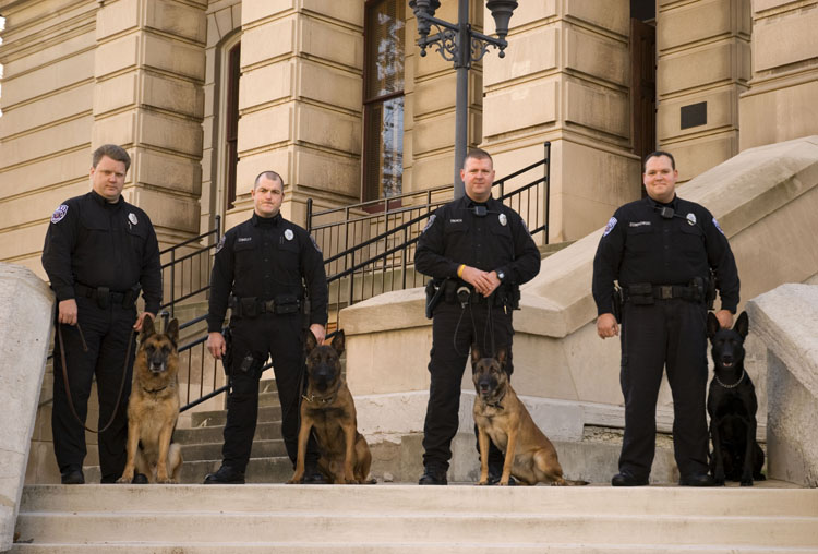 K9 Unit on Steps